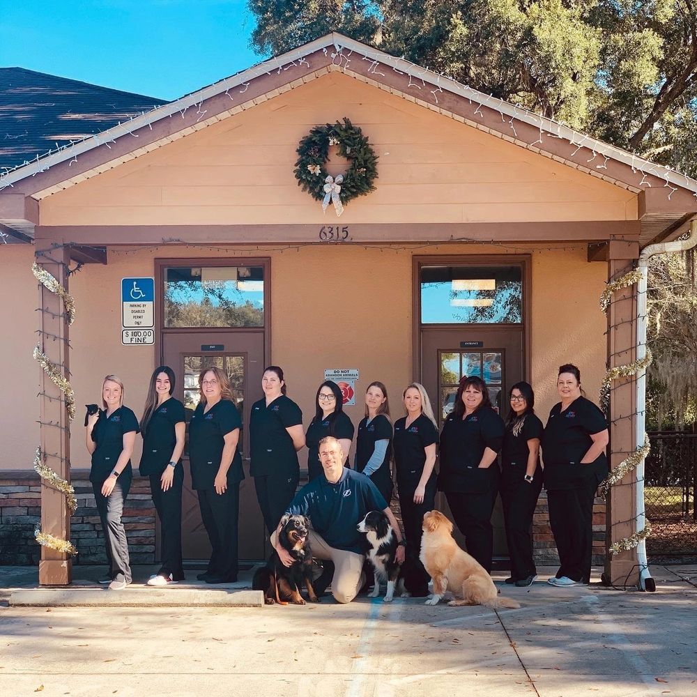 Veterinary, Grooming Kathleen Animal Hospital Lakeland, Florida